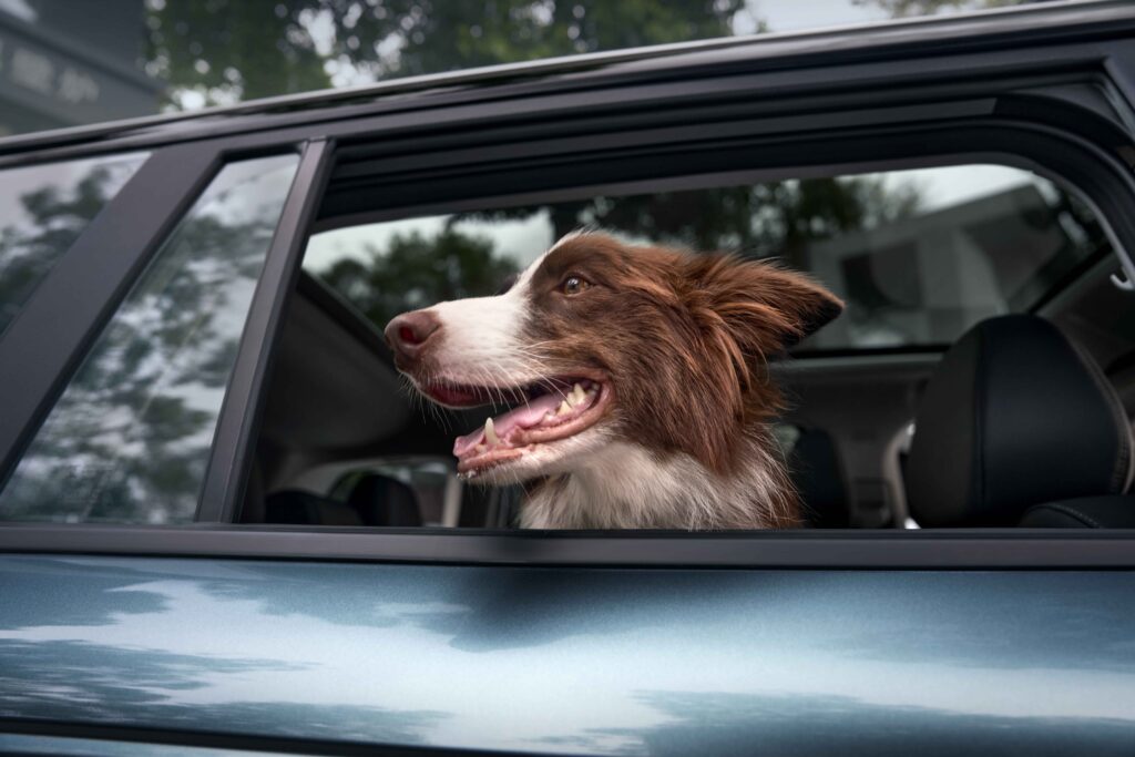 JAECOO 5 TÜV SÜD “Evcil Hayvan Dostu Kabin” Sertifikasını Aldı!