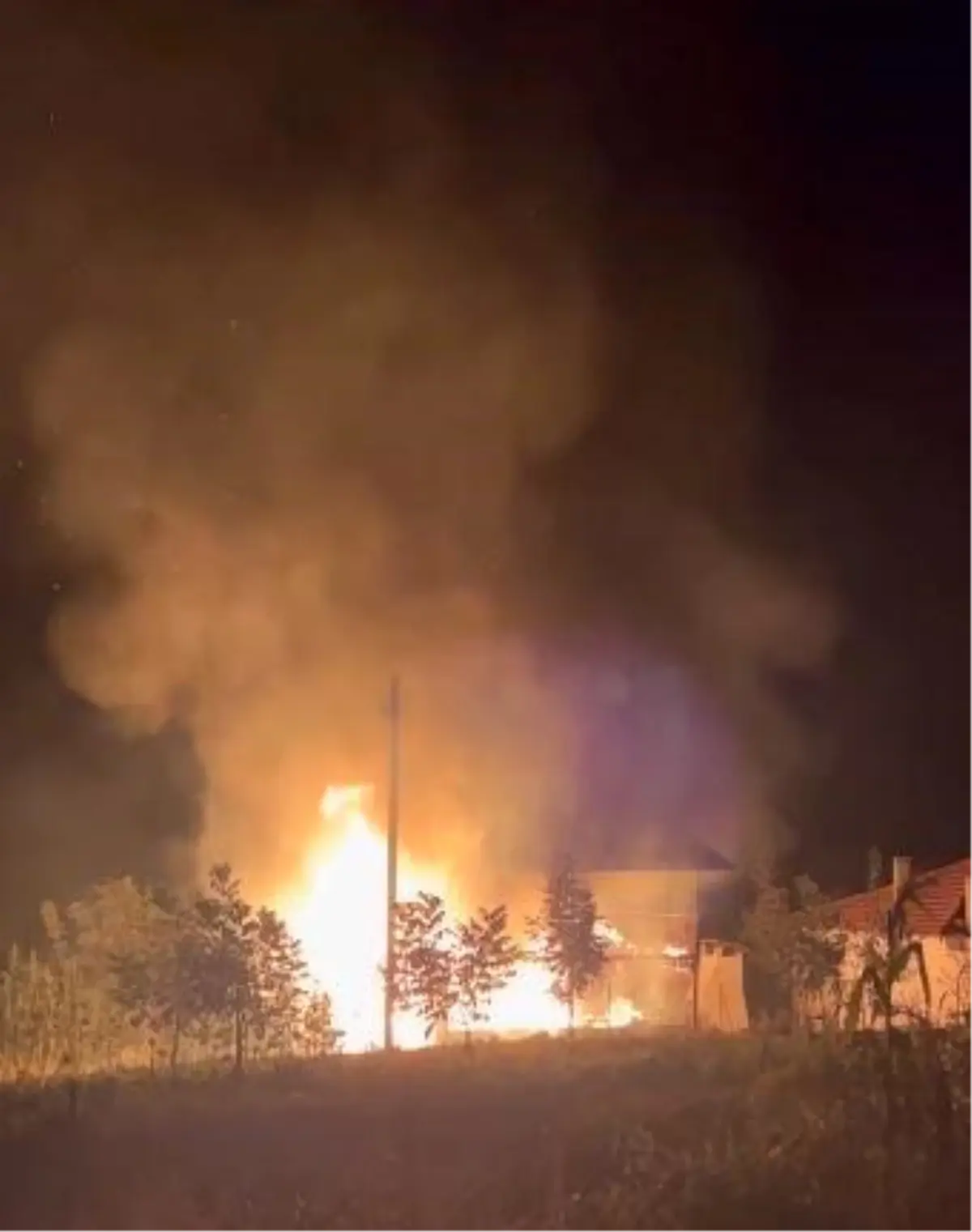 Denizli’de Yangın Paniği: Kamelyadan Eve Sıçradı Denizli’de Yangın Paniği: Kamelyadan Eve Sıçradı