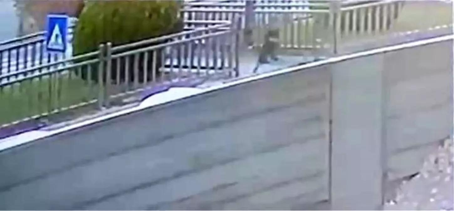 Elazığ’da Yola Fırlayan Çocuk Kazadan Son Anda Kurtuldu Elazığ’da Yola Fırlayan Çocuk Kazadan Son Anda Kurtuldu