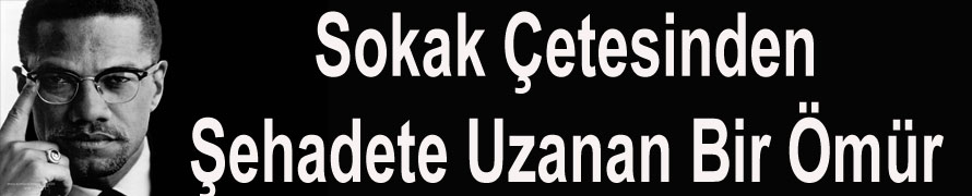 Sokak Çetesinden Şehadete Uzanan Bir Ömür