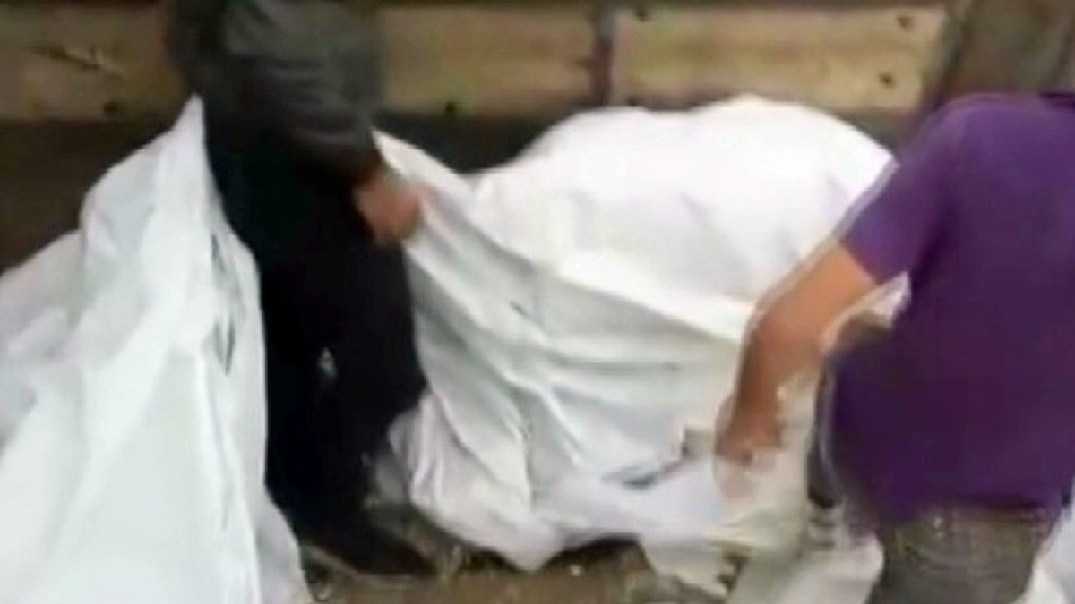 Sakarya’da lahana yüklü tırdan 4 kaçak göçmen çıktı Sakarya’da lahana yüklü tırdan 4 kaçak göçmen çıktı