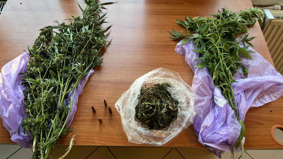 İstanbul’da uyuşturucu operasyonu: 2 gözaltı İstanbul’da uyuşturucu operasyonu: 2 gözaltı