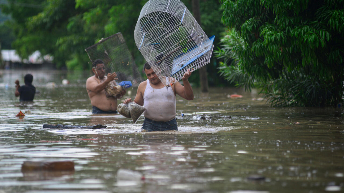 Meksika’daki sel felaketinde bilanço ağırlaşıyor: Can kaybı 44’e yükseldi Meksika’daki sel felaketinde bilanço ağırlaşıyor: Can kaybı 44’e yükseldi