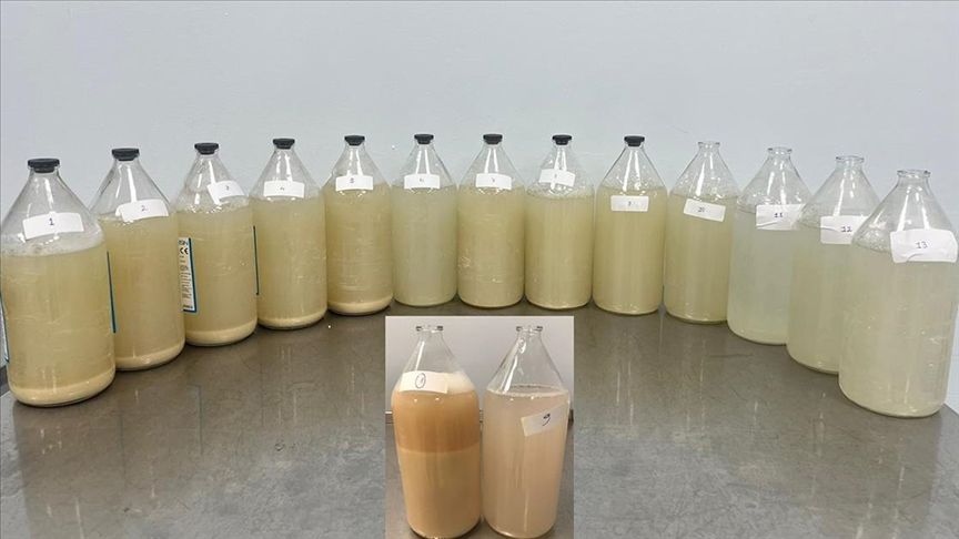 SAĞLIK
Bu işlemle hastalar yeniden rahat nefes alıyor: Akciğer yıkama yöntemi nedir, nasıl uygulanır? SAĞLIK
Bu işlemle hastalar yeniden rahat nefes alıyor: Akciğer yıkama yöntemi nedir, nasıl uygulanır?