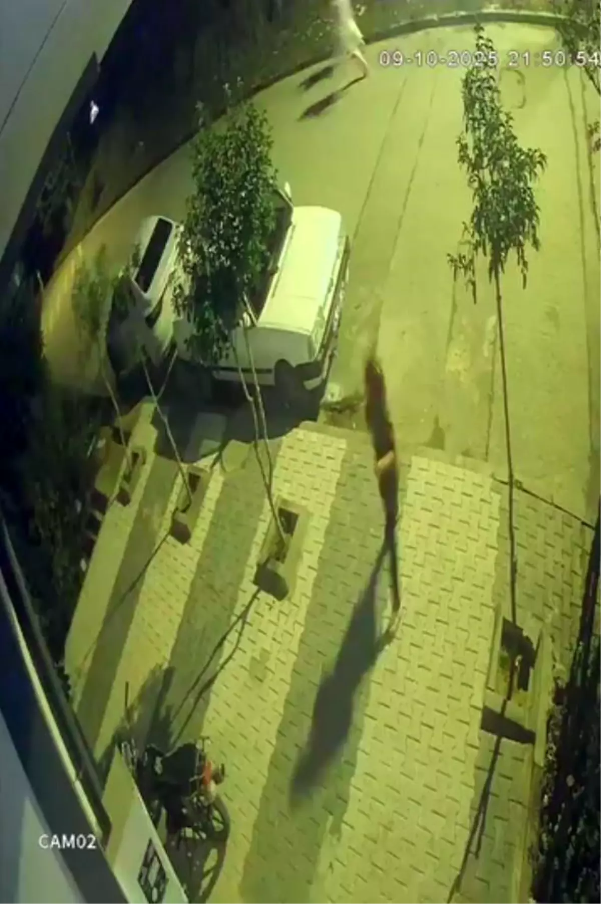 Freni Patlayan Araç, Oyun Oynayan Çocukların Üzerine Daldı Freni Patlayan Araç, Oyun Oynayan Çocukların Üzerine Daldı