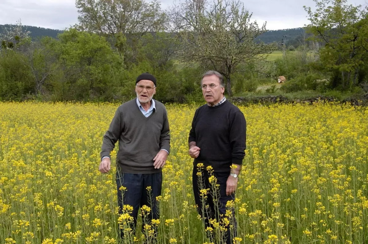 Abdullah Şahin Hayatını Kaybetti Abdullah Şahin Hayatını Kaybetti