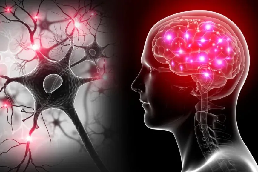 SAĞLIK
																														
								

								Yüzde 98'e varan doğruluk sağladı! Disleksi ve Otizm’in erken tanısında yeni dönem