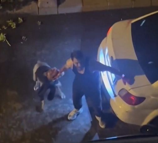 GÜNDEM
İstanbul’da gezdirilen pitbull sahibine saldırdı! Vatandaşlar korku dolu anlar yaşadı GÜNDEM
İstanbul’da gezdirilen pitbull sahibine saldırdı! Vatandaşlar korku dolu anlar yaşadı