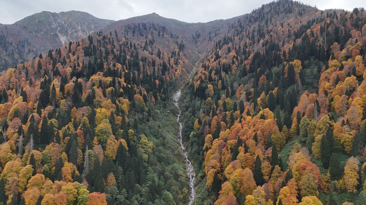 Rize’de Ayder Yaylası’nda Sonbahar Renkleri Görülüyor
