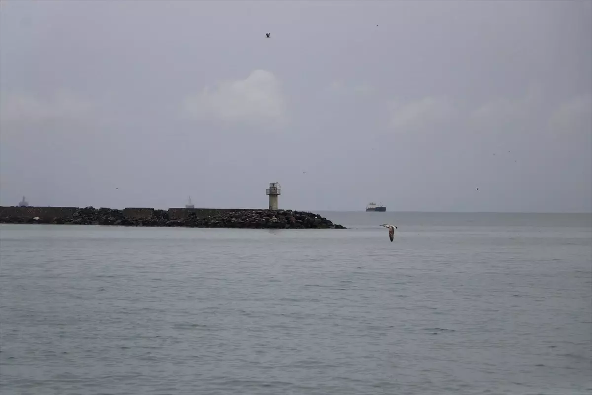Tekirdağ’da Poyraz Etkisini Yitirdi, Deniz Ulaşımı Normale Döndü Tekirdağ’da Poyraz Etkisini Yitirdi, Deniz Ulaşımı Normale Döndü