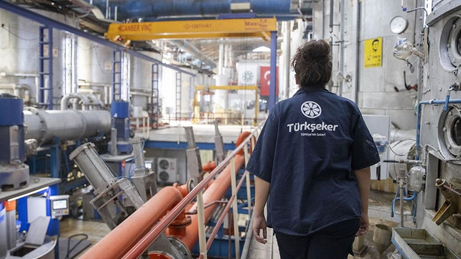 Türkşeker, pancar alım fiyatını belirledi