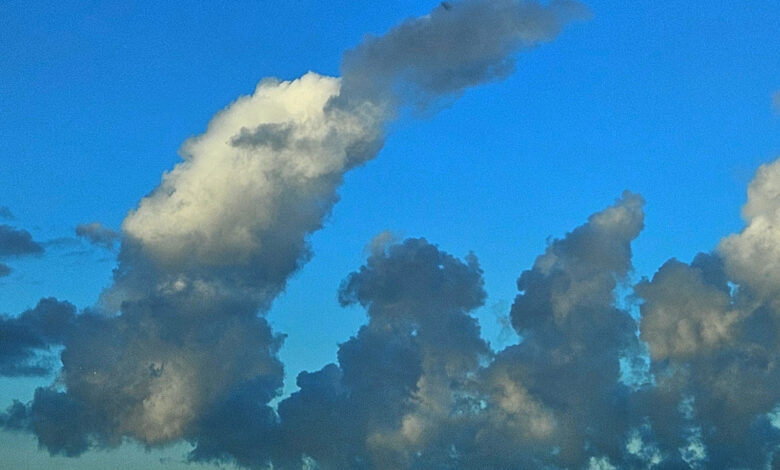 İstanbul’da Cumulus Mediocris Bulutları Oluştu İstanbul’da Cumulus Mediocris Bulutları Oluştu