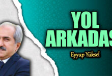 Bir Günlükte Yol Arkadaşının Düşünceleri