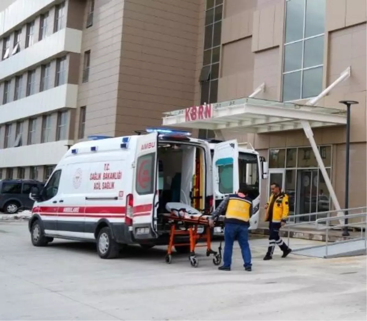 Erzincan’da Üzüm Bağında Ayı Saldırısı Gerçekleşti Erzincan’da Üzüm Bağında Ayı Saldırısı Gerçekleşti