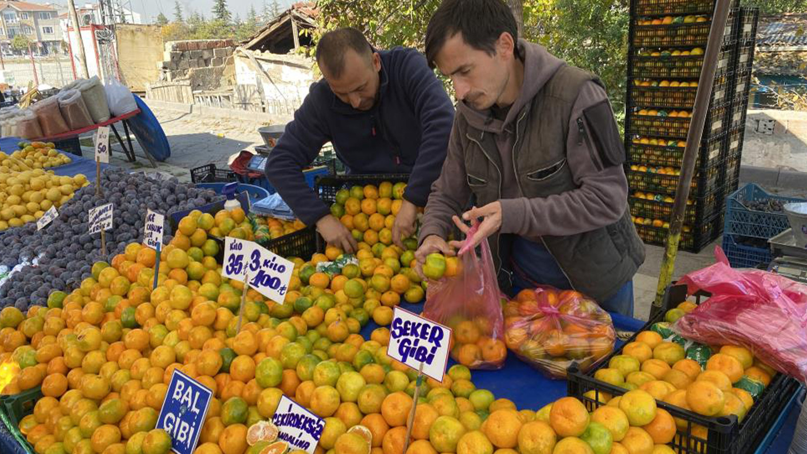 Mandalina Fiyatları Geçen Yıla Göre Yüzde 30 Düştü Mandalina Fiyatları Geçen Yıla Göre Yüzde 30 Düştü