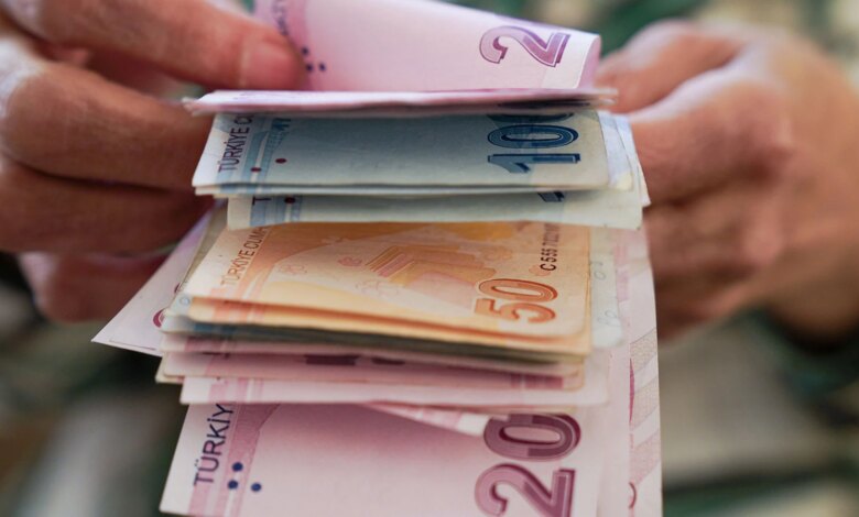 Vatandaşlık Maaşı Uygulaması 2024’te Başlıyor