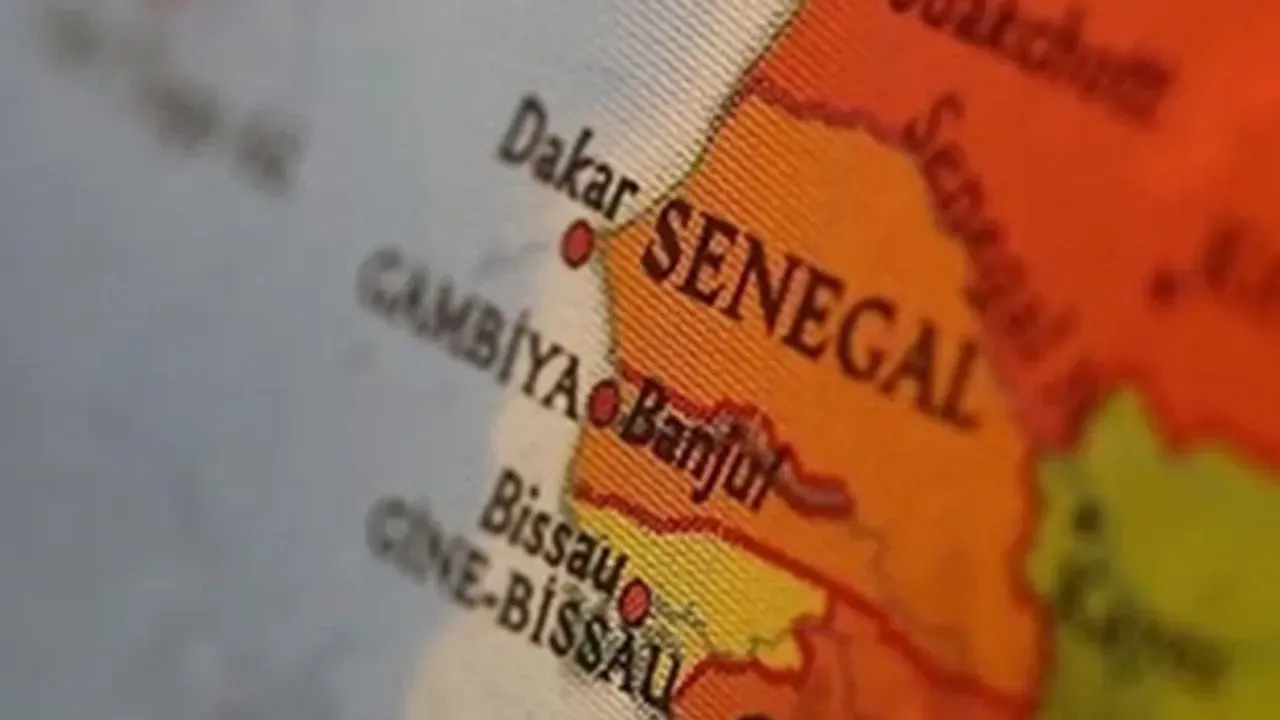 Senegal’de Rift Vadisi Ateşi Salgını: Ölü Sayısı 29’a