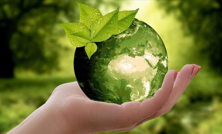 Sıfır Atık Vakfı ve MEB’den Uluslararası Sürdürülebilirlik Sıfır Atık Vakfı ve MEB’den Uluslararası Sürdürülebilirlik